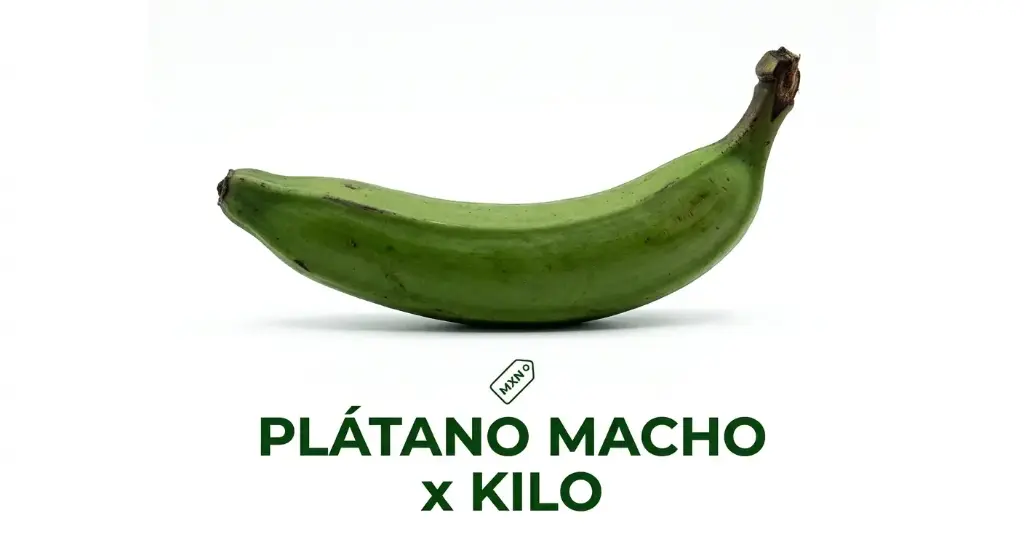 PLATANO MACHO