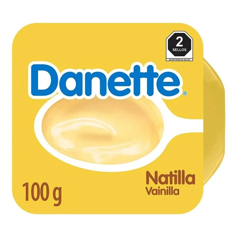 DANETTE NATILLA 100G VAINILLA (DANONE)