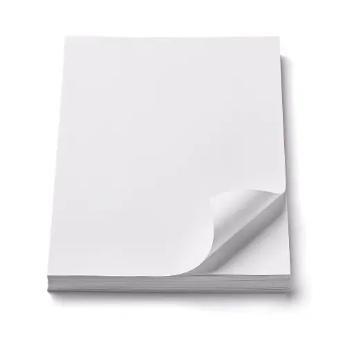 [P2503] HOJAS EN BLANCO TAMAÑO CARTA 20 PZ